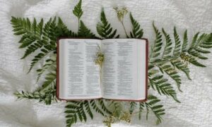 novidades_Citações da Bíblia para a Sagrada Comunhão